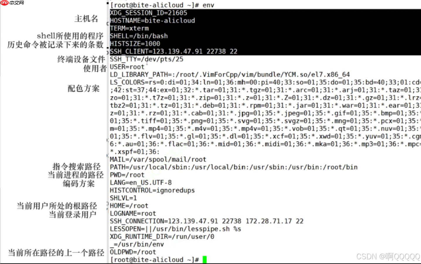 Linux系统编程:环境变量