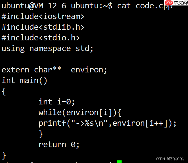 Linux系统编程:环境变量