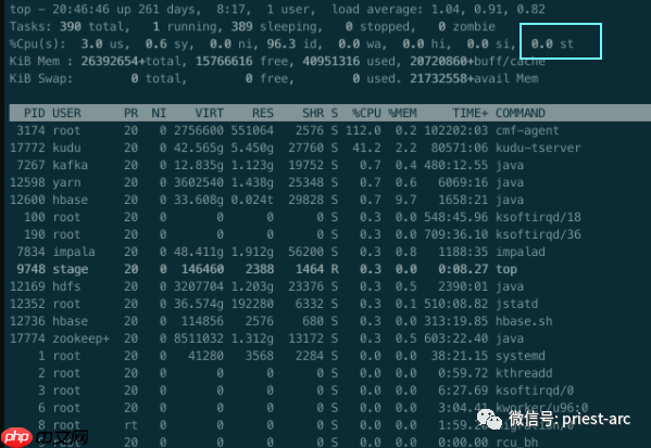 Linux系统之 Steal CPU time解析