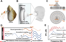 清华大学任天令团队合作在基于石墨烯热声共振腔体的可调频声音增强研究上取得进展