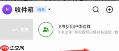 飞书怎么删除聊天记录