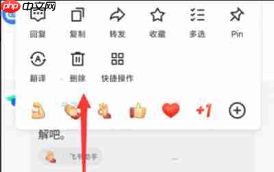 飞书怎么删除聊天记录