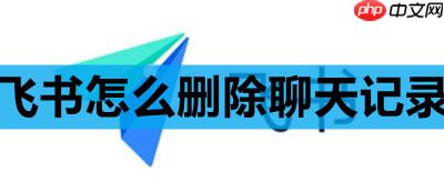 飞书怎么删除聊天记录