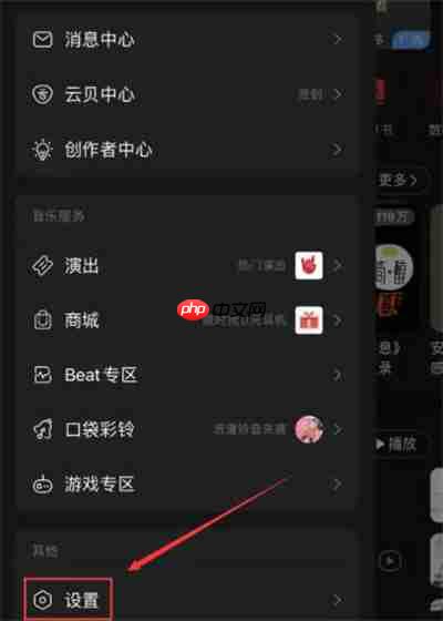 网易云音乐怎么关闭音量均衡