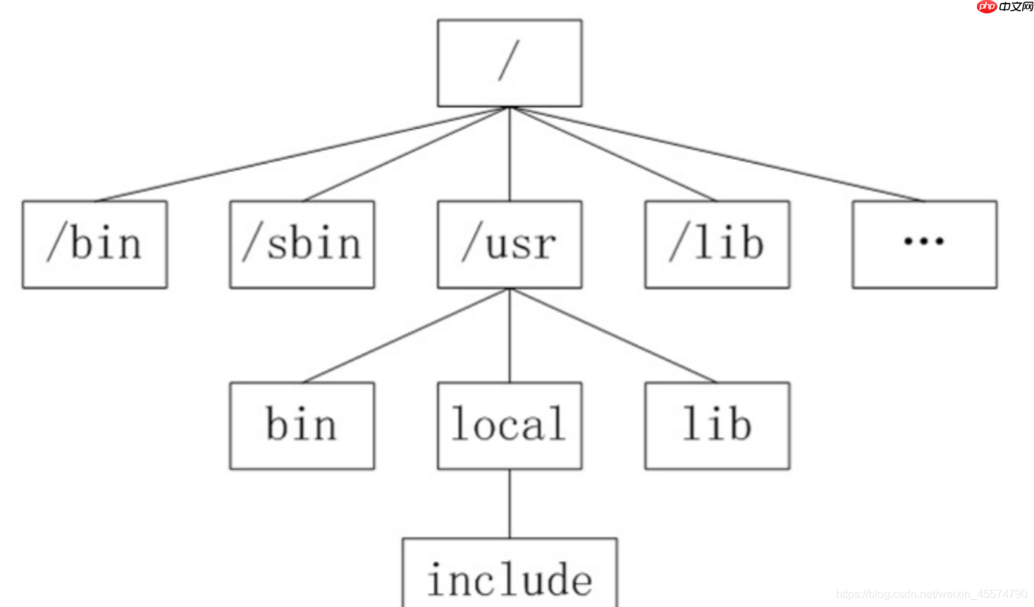 【精通Linux系列】Linux中的系统文件概述与编辑器详解