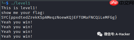 Reverse: Level1 Cracked by Eswink