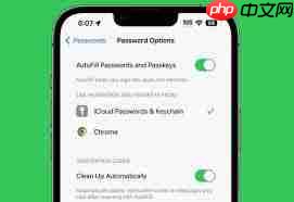 苹果iOS17如何自动删除带有验证码的信息