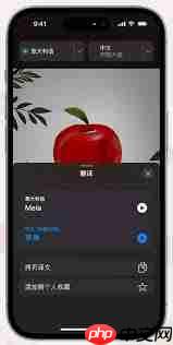 iPhone14相机如何实时取景识别文字