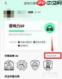 qq音乐勋章查看方法