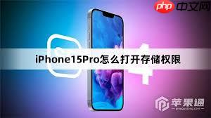 苹果iPhone15怎样开启存储权限
