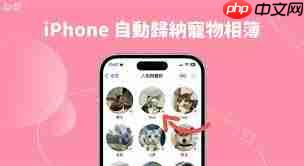 iOS17照片应用有哪些改进