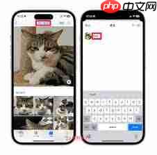 iOS17照片应用有哪些改进