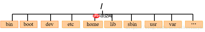 Linux操作系统基础