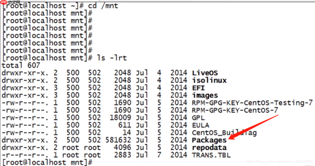 【精通Linux系列】Linux安装软件服务rmp方式
