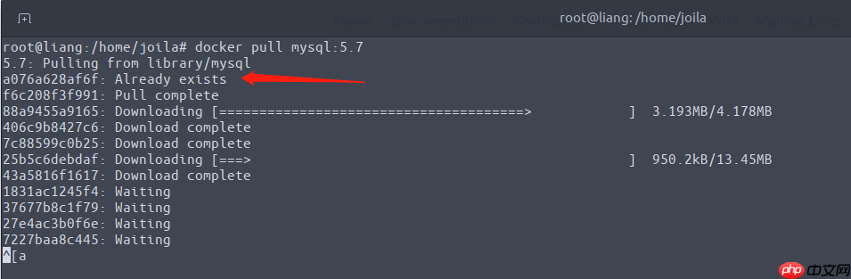 Docker镜像讲解