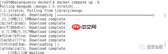 centos7.4下搭建灯塔信息搜集系统