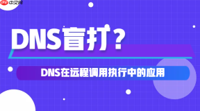 DNS在远程调用执行中的应用