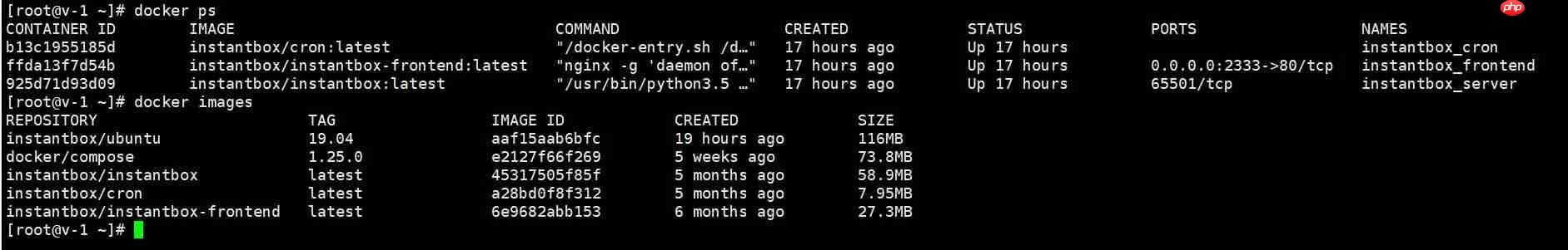 instantbox：获得开箱即用的临时 Linux 环境