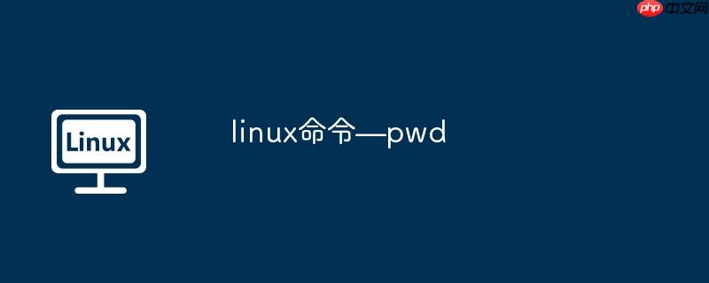 linux命令—pwd