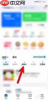 菜鸟裹裹怎么查询他人寄给我的包裹