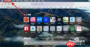 如何在iPhone和Mac上启用Safari浏览器的隐私保护广告追踪