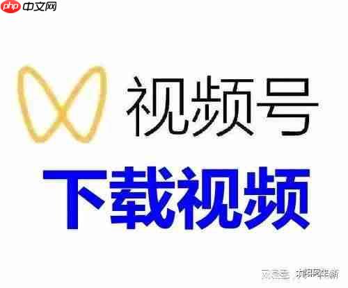 微信视频号评论怎么查找