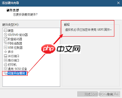 vmware无法添加受信任平台模块的原因