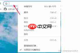 谷歌浏览器网址怎么直接进
