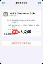 苹果12如何关闭更新提醒