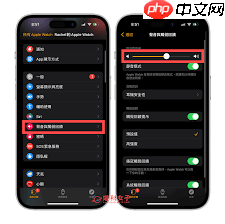 iphone闹钟声音如何调整