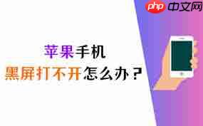 苹果手机无法启动？解决苹果手机打不开的问题