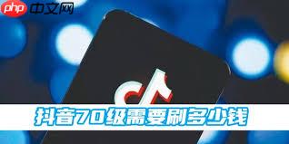 抖音70级升级需要多少花费