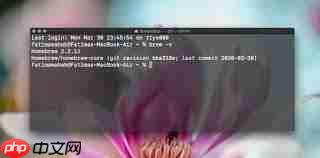 在Mac上找不到apt