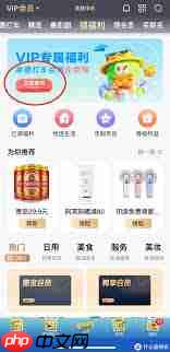 爱奇艺如何共享会员账号