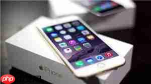 iphone怎么看设备型号