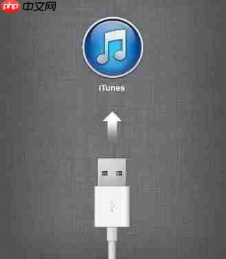 iphone怎么看设备型号