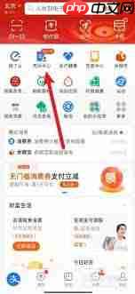 支付宝如何查询个人社保缴费情况