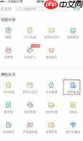 支付宝如何查询个人社保缴费情况