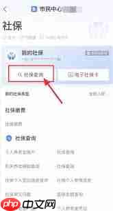 支付宝如何查询个人社保缴费情况