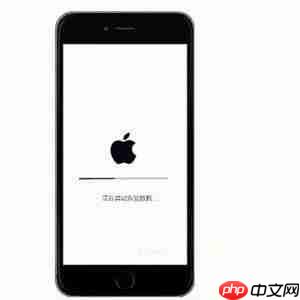 苹果手机LD停用了解决方法