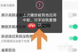 qq音乐如何设置不被其他应用中断