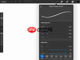 procreate绘画笔刷怎么导入