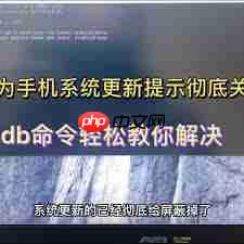 华为手机系统更新提示何时消失