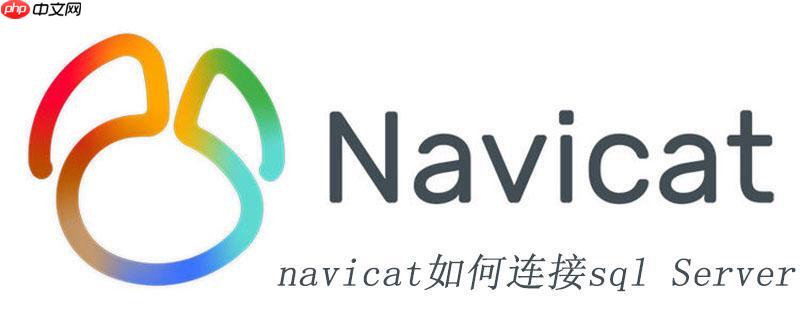 Navicat导出数据时选择特定字段和条件的方法