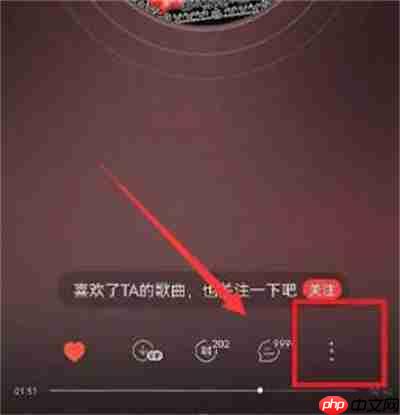 网易云音乐怎么关闭黑胶唱片转动效果