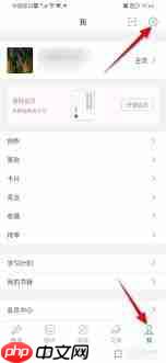 古文岛如何添加设置桌面插件