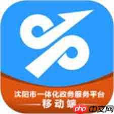 沈阳政务服务app如何查询社保