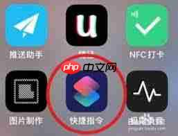 苹果13充电不显示圆圈原因及解决方法