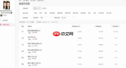 小红书广告数据查看指南
