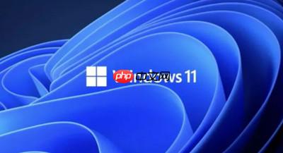 win11系统的中文输入法怎么设置